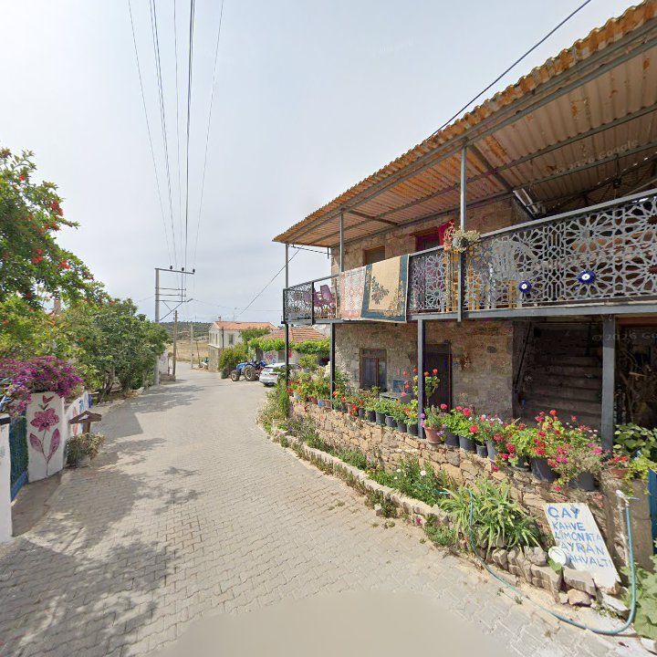 Fotoğraf 7