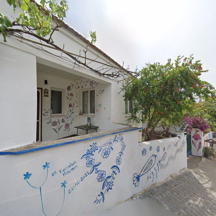 Fotoğraf 6