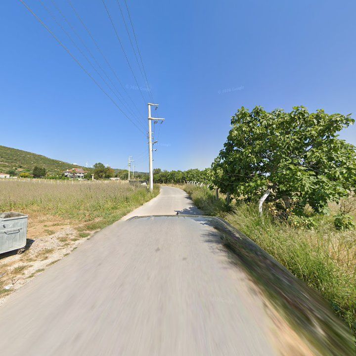 Fotoğraf 8