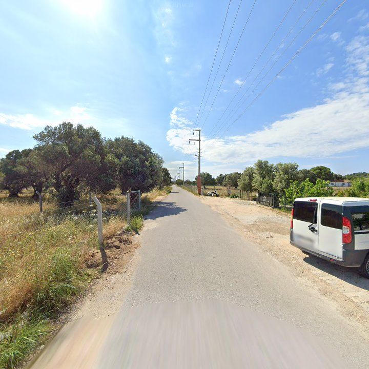 Fotoğraf 10
