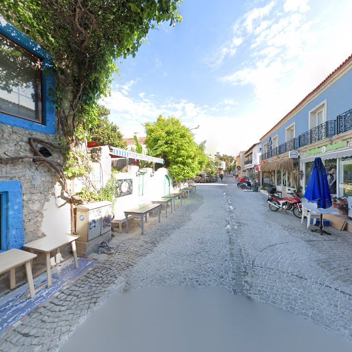 Fotoğraf 8