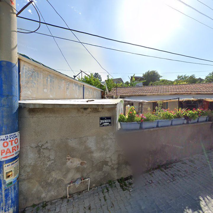 Fotoğraf 6