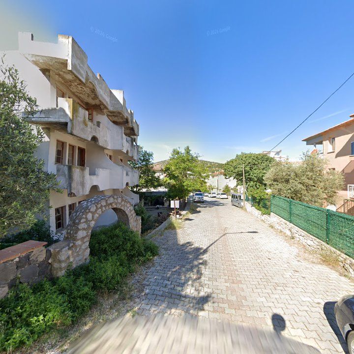 Fotoğraf 8
