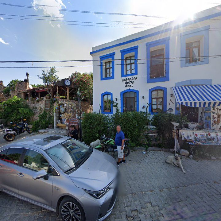 Fotoğraf 6