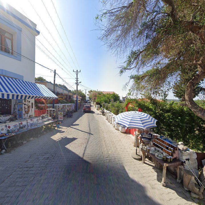 Fotoğraf 7