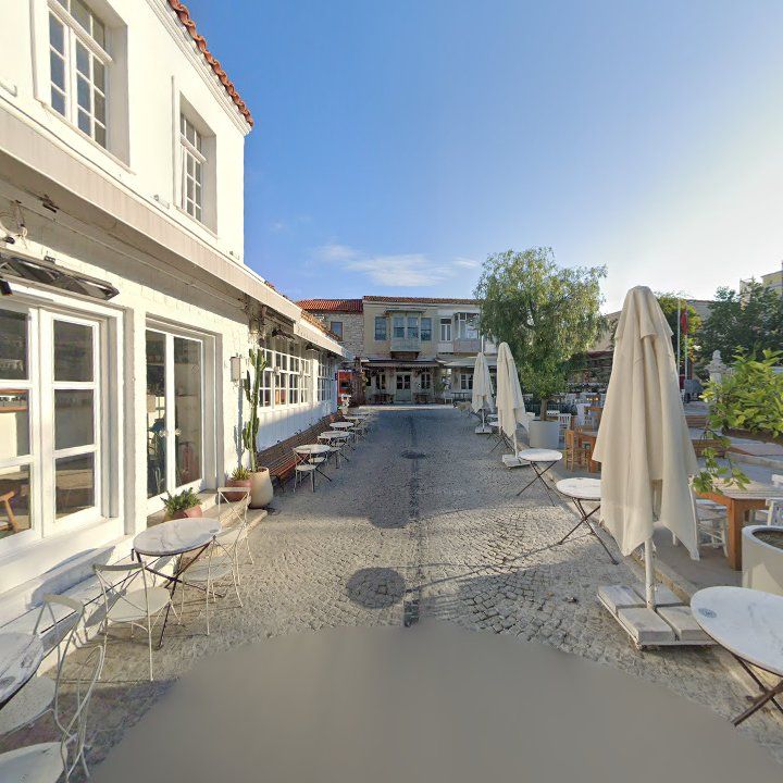 Fotoğraf 13