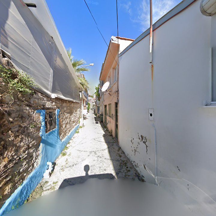 Fotoğraf 14