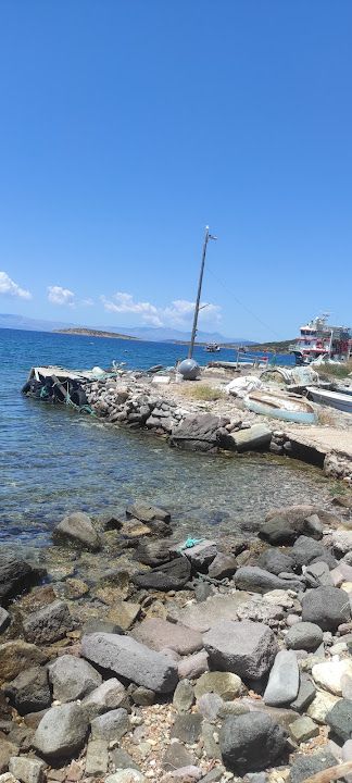 Yorum fotoğrafı 4