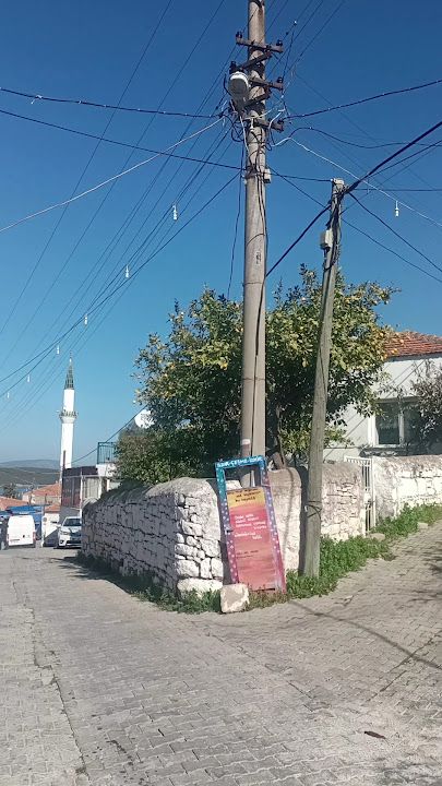 Yorum fotoğrafı 3