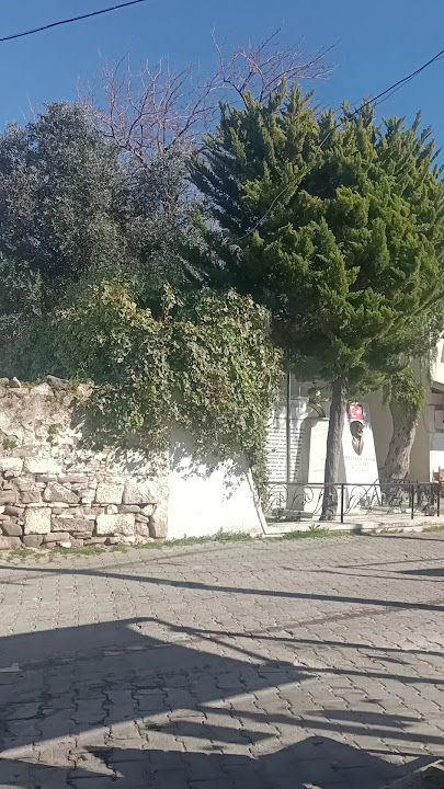 Yorum fotoğrafı 2