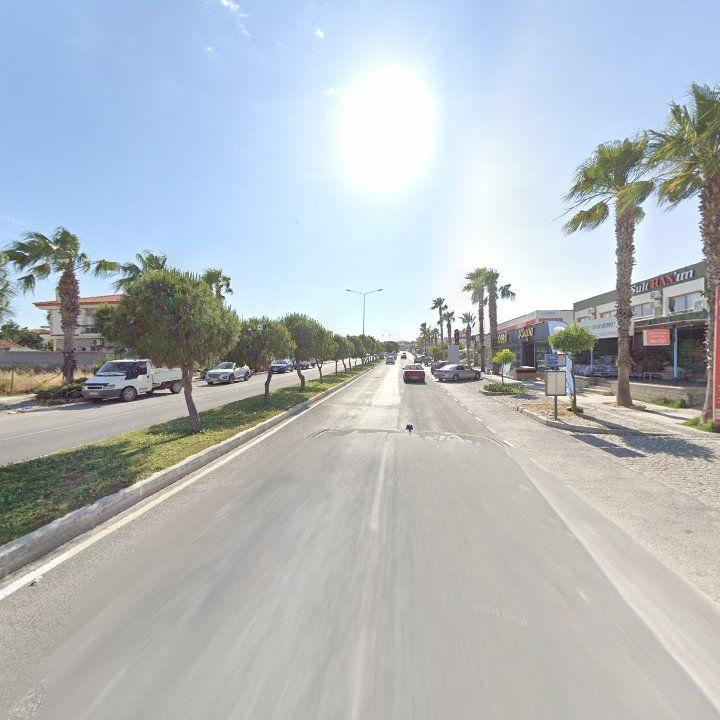 Fotoğraf 11