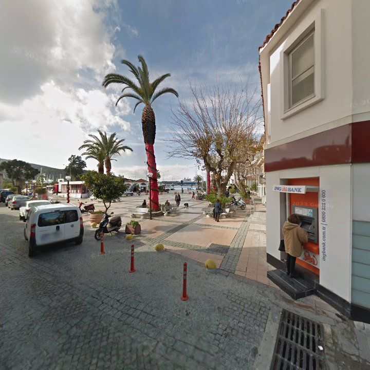 Fotoğraf 7