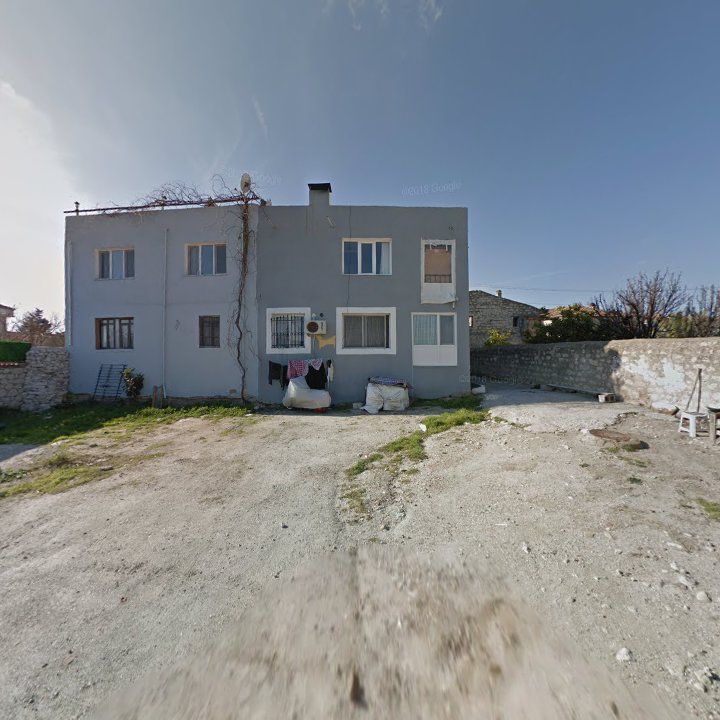 Fotoğraf 11