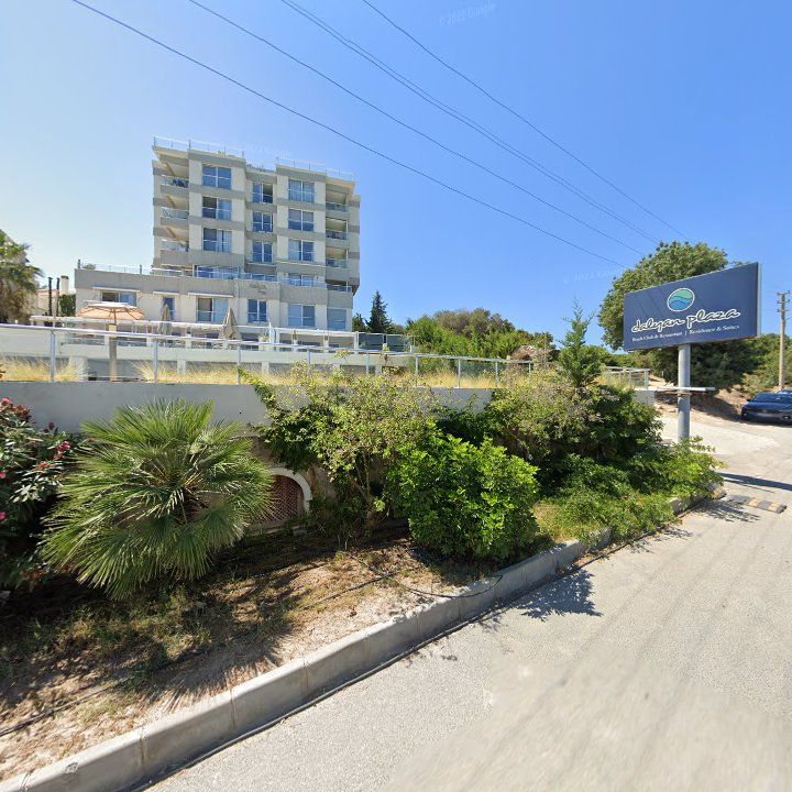 Fotoğraf 10