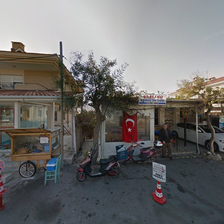 Fotoğraf 8