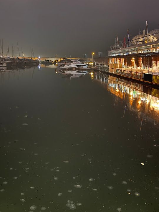Fotoğraf 54