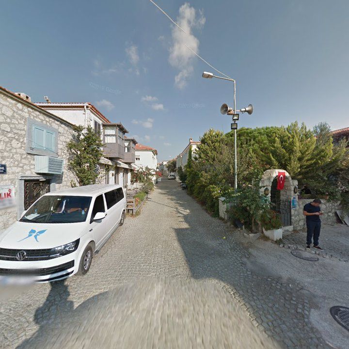 Fotoğraf 7