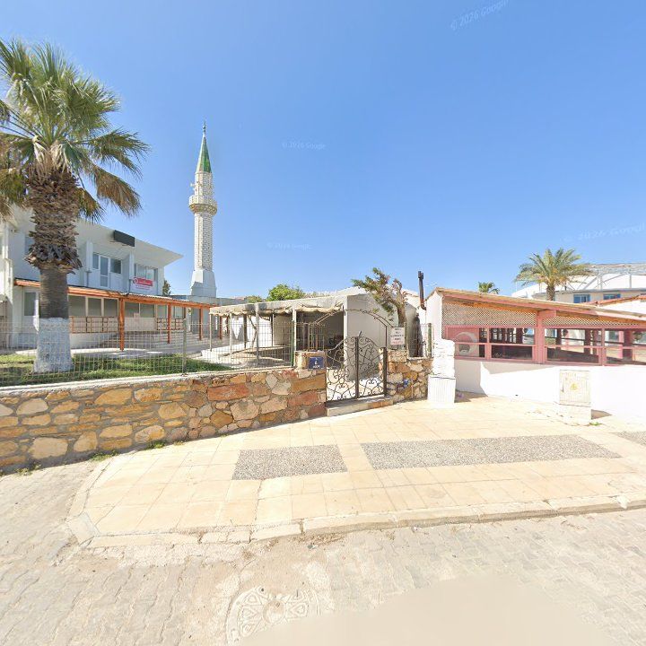 Fotoğraf 10