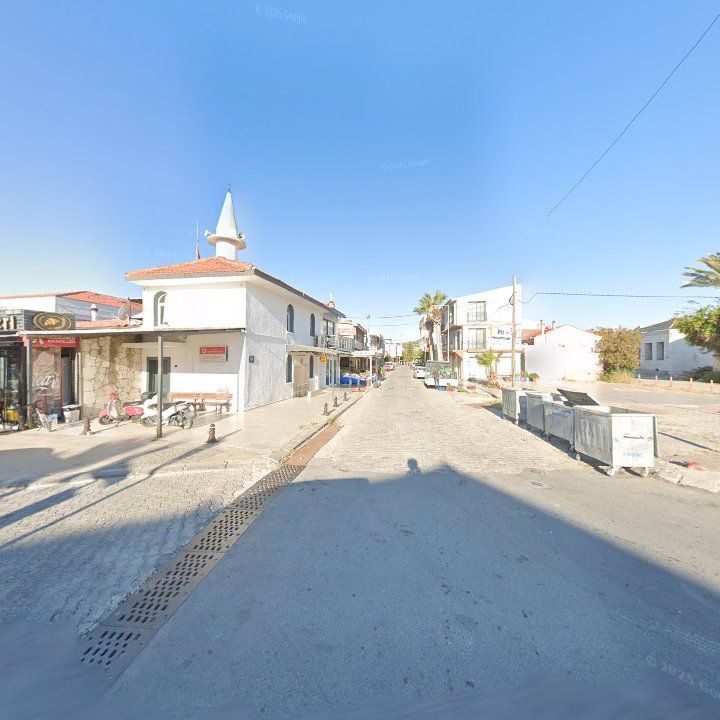 Fotoğraf 9