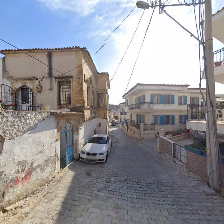 Fotoğraf 7