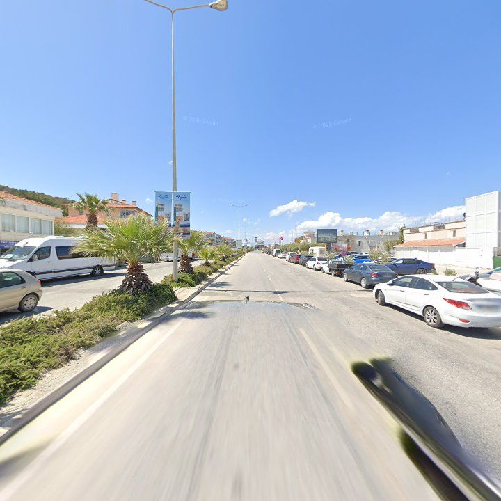 Fotoğraf 10