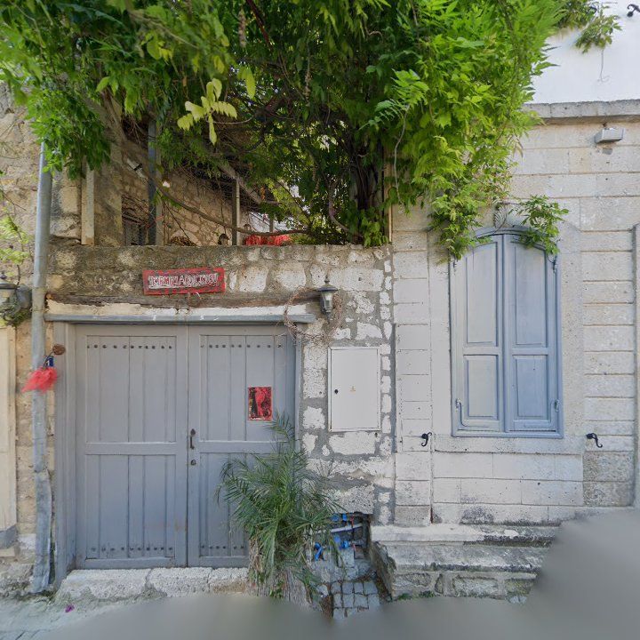 Fotoğraf 11