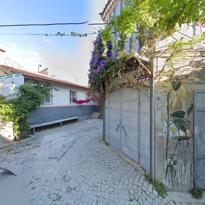 Fotoğraf 13