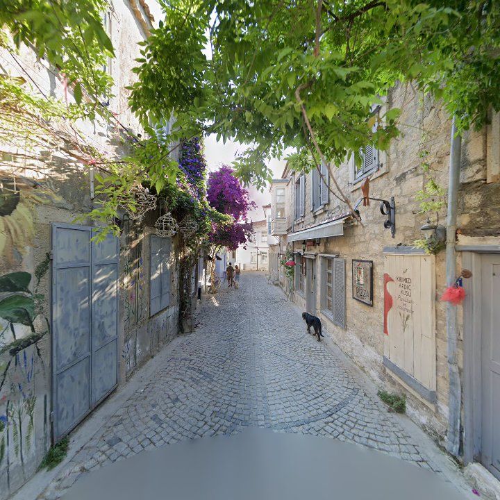 Fotoğraf 10