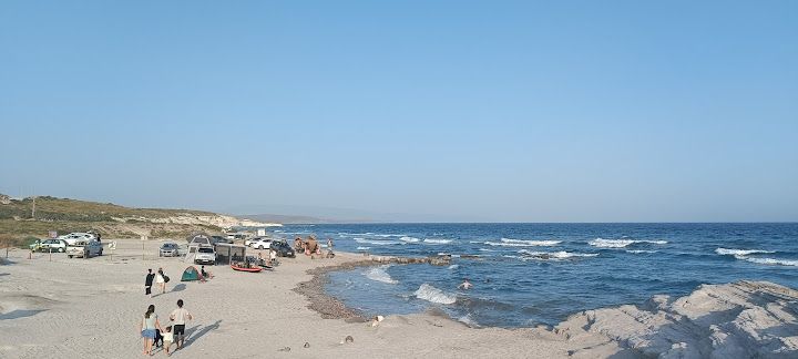 Kobranın Yeri
