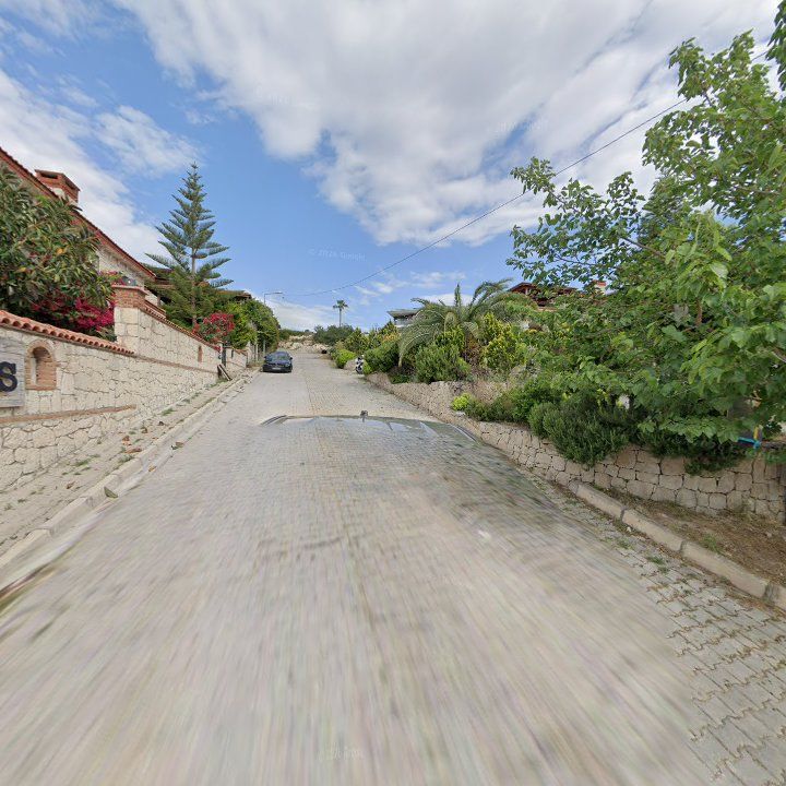 Fotoğraf 9