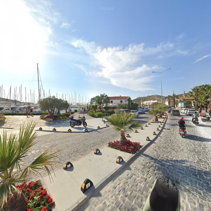 Fotoğraf 8