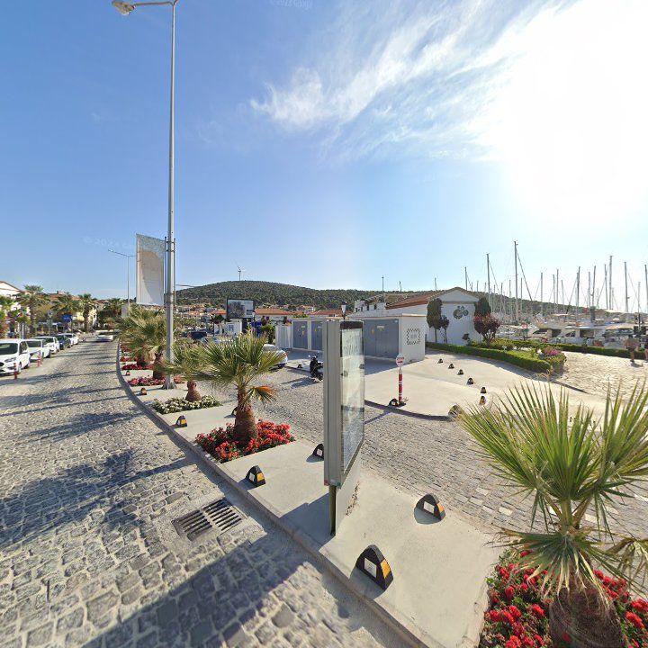 Fotoğraf 7