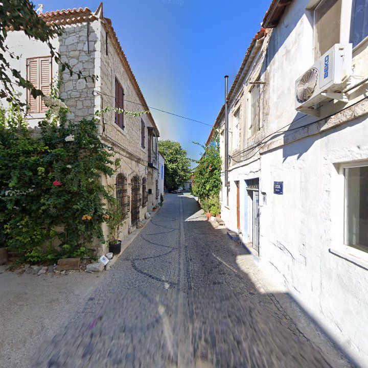 Fotoğraf 11