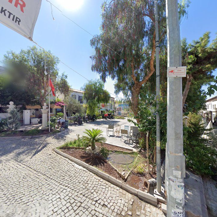Fotoğraf 17