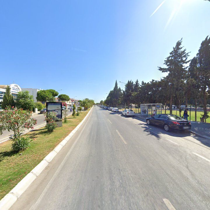 Fotoğraf 9