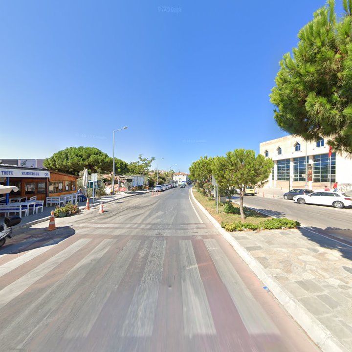 Fotoğraf 7