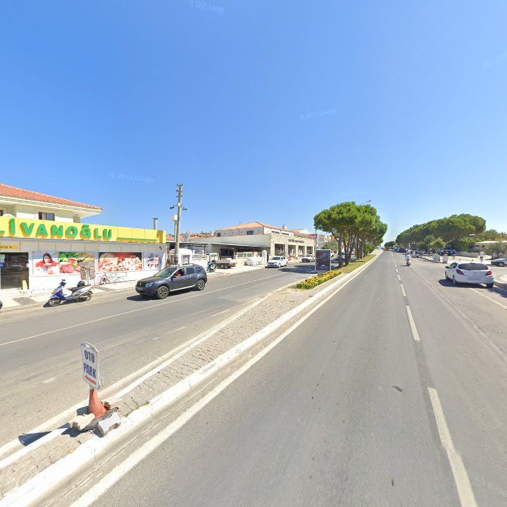 Fotoğraf 12