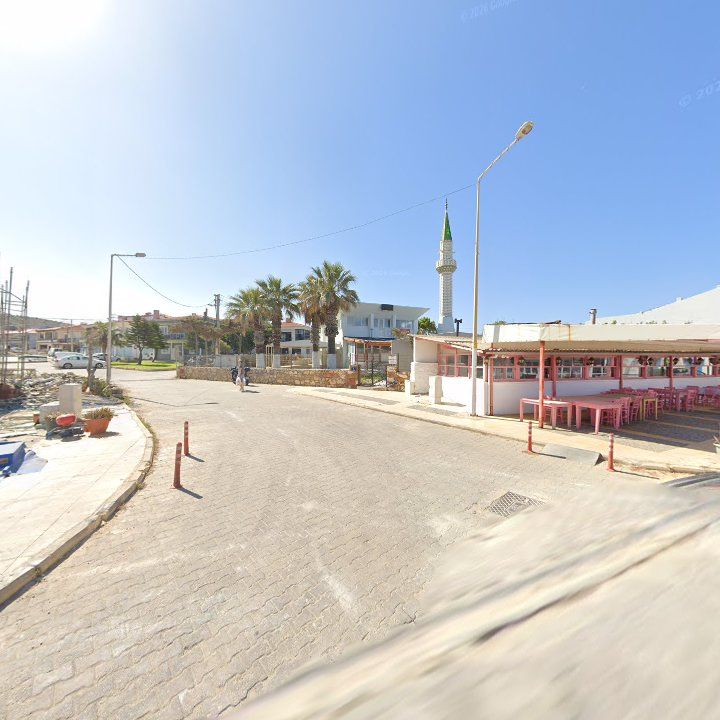 Fotoğraf 8