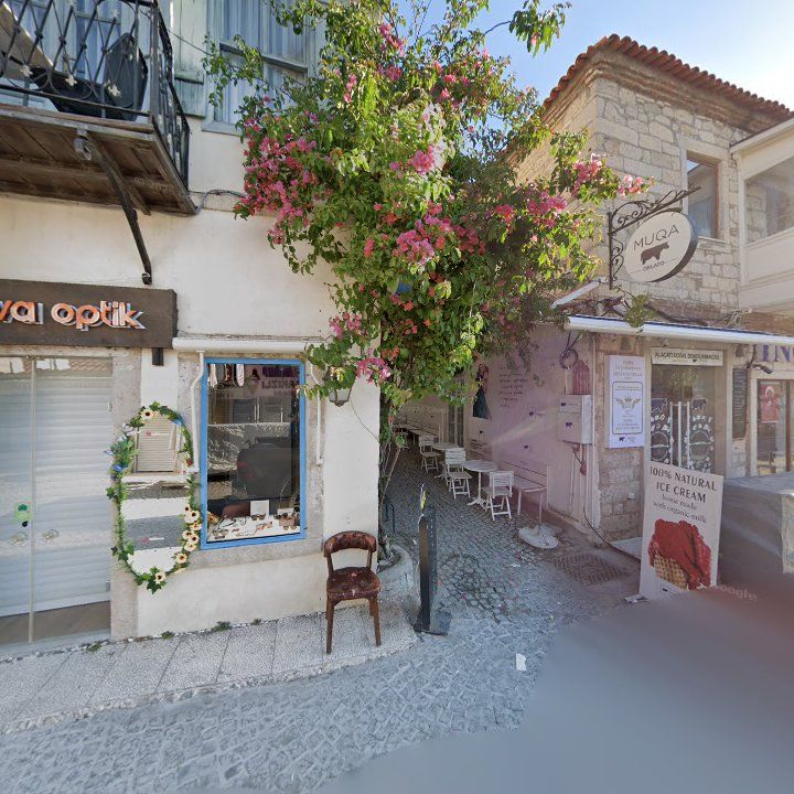 Fotoğraf 12