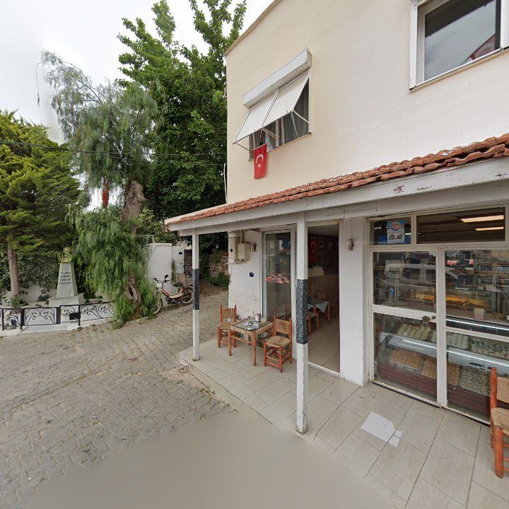 Fotoğraf 7