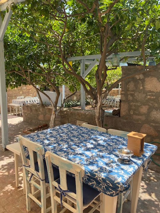 Limonlu bahçem