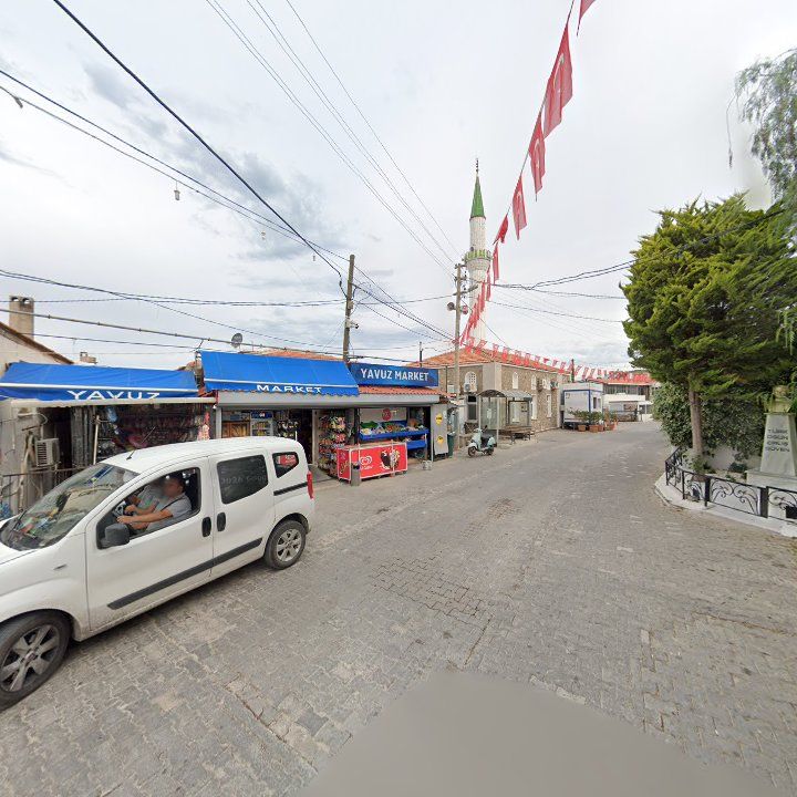 Fotoğraf 10