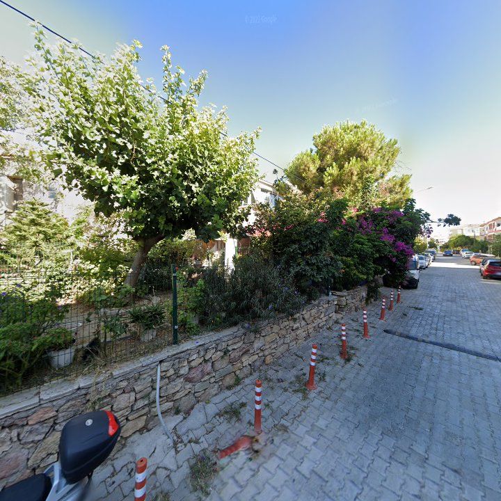 Fotoğraf 8