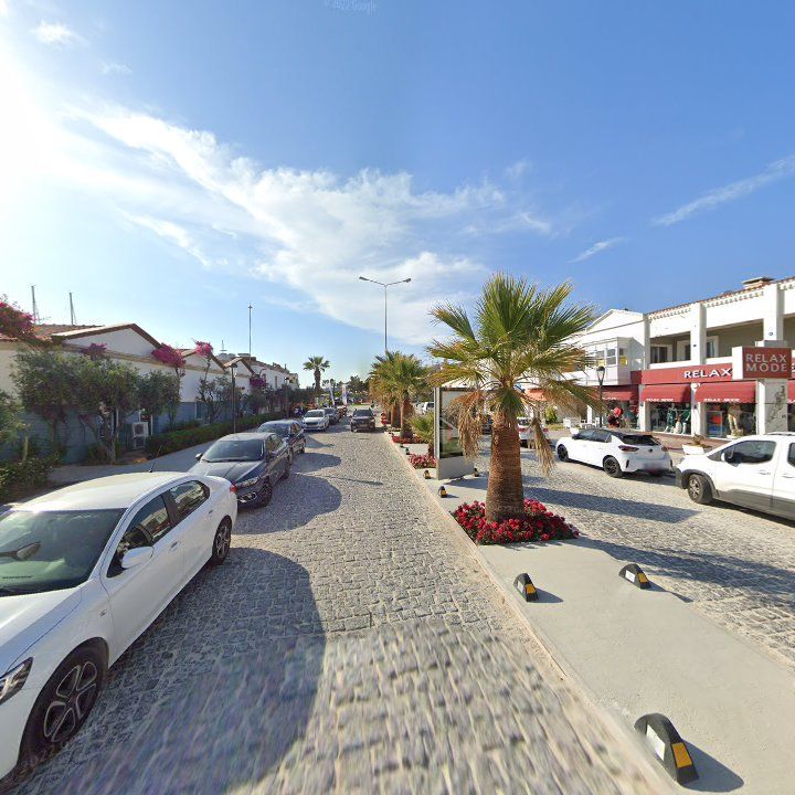 Fotoğraf 11