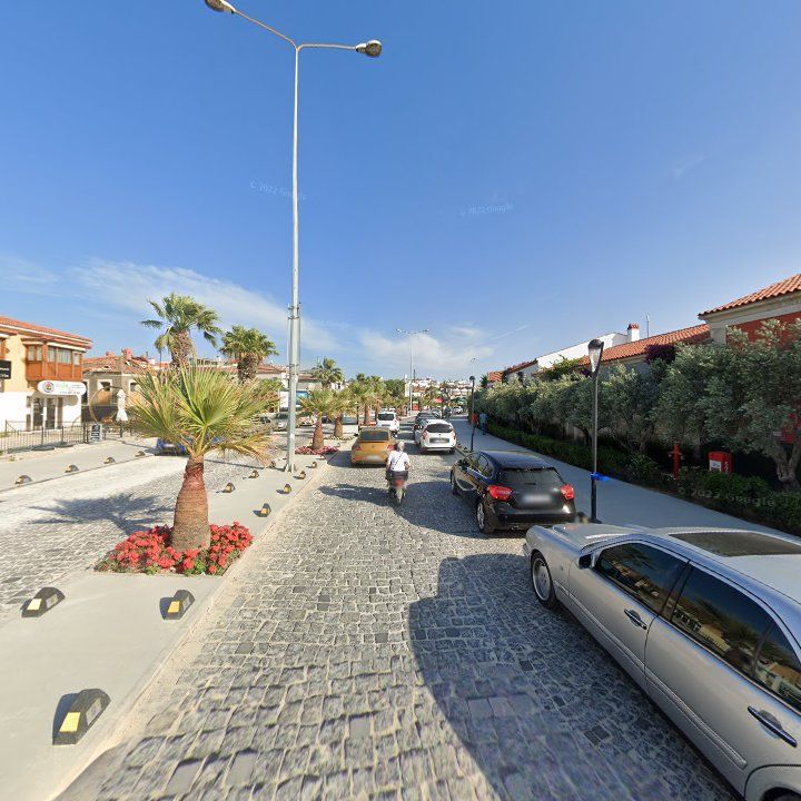 Fotoğraf 13