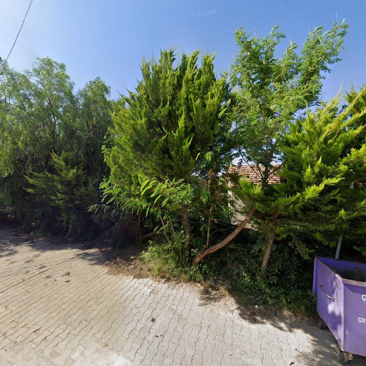 Fotoğraf 6