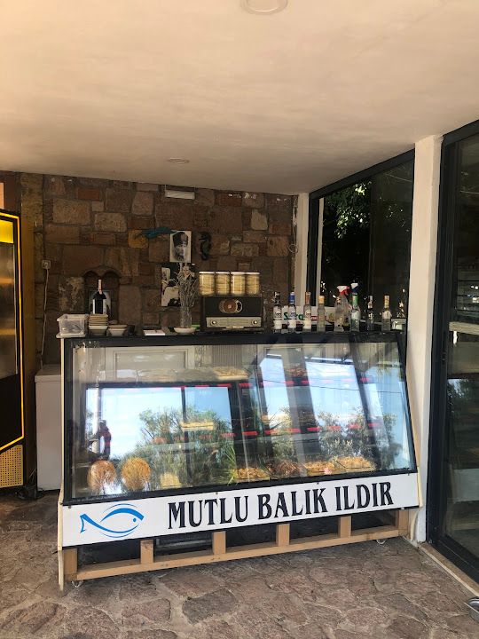 Mutlu balik