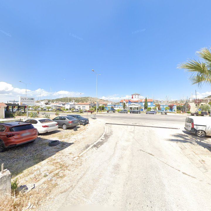 Fotoğraf 9