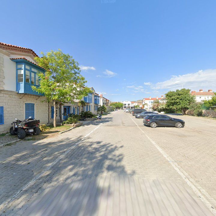 Fotoğraf 7