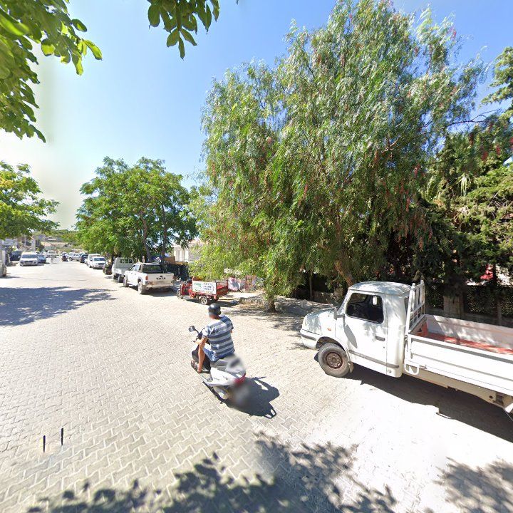 Fotoğraf 8